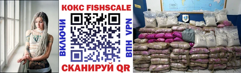 купить наркотики цена  Бирюсинск  Cocaine FishScale 
