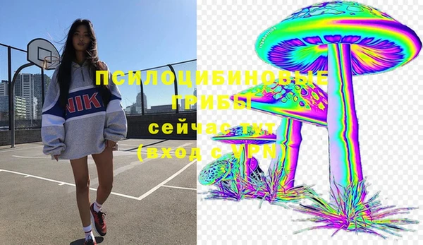 apvp Абдулино