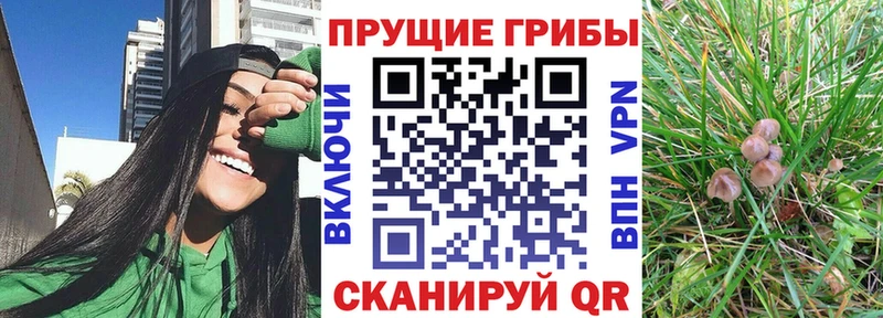 что такое   Бирюсинск  Галлюциногенные грибы прущие грибы 